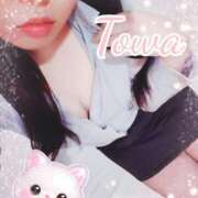 ヒメ日記 2026/02/27 11:44 投稿 とわ BAD COMPANY（バッドカンパニー）