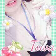 ヒメ日記 2026/03/09 13:28 投稿 とわ BAD COMPANY（バッドカンパニー）