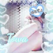 ヒメ日記 2026/05/20 12:14 投稿 とわ BAD COMPANY（バッドカンパニー）