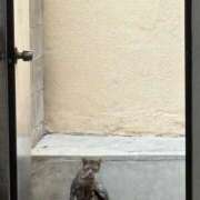 ヒメ日記 2025/08/22 16:50 投稿 ゆうり 妻天 尼崎店