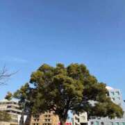 ゆうり つうきんした 妻天 尼崎店