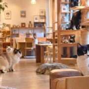 ヒメ日記 2026/09/18 21:54 投稿 ゆうり 妻天 尼崎店