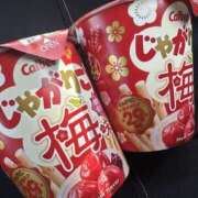 ヒメ日記 2025/02/26 06:43 投稿 らら 宇都宮ムンムン熟女妻