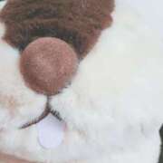 ヒメ日記 2025/03/31 22:00 投稿 吉良りん 大人のエッチなエステ