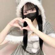 ヒメ日記 2024/12/25 21:27 投稿 ろん マーガレット