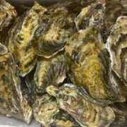 ヒメ日記 2025/07/02 12:33 投稿 ひとは 丸妻 新横浜店