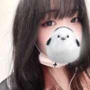 ヒメ日記 2025/01/12 17:51 投稿 のの 所沢東村山ちゃんこ