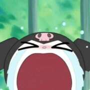 ヒメ日記 2025/01/15 22:06 投稿 のの 所沢東村山ちゃんこ