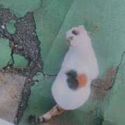 ヒメ日記 2025/01/24 20:44 投稿 のの 所沢東村山ちゃんこ