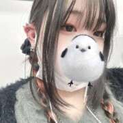 ヒメ日記 2025/01/29 18:02 投稿 のの 所沢東村山ちゃんこ