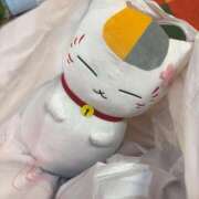 ヒメ日記 2025/03/18 18:19 投稿 のの 所沢東村山ちゃんこ