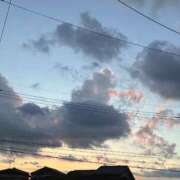 ヒメ日記 2025/07/13 19:13 投稿 のの 所沢東村山ちゃんこ