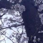 ヒメ日記 2026/03/27 20:32 投稿 のの 所沢東村山ちゃんこ