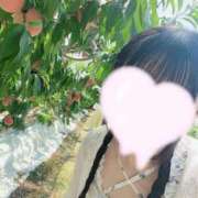 ヒメ日記 2025/07/29 09:29 投稿 もも 西川口コスプレメイド学園（シンデレラグループ）