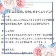 ヒメ日記 2024/04/16 17:03 投稿 みい マリン熊本本店