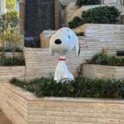 ヒメ日記 2024/12/10 20:09 投稿 りっか サンキュー町田・相模原店