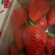 ヒメ日記 2026/04/21 13:00 投稿 華音　かのん（29） 出会い系人妻ネットワーク 熊谷編