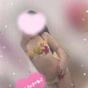 ヒメ日記 2025/04/21 11:39 投稿 麻鈴（まりん） NOA（ノア）