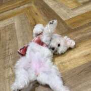 ヒメ日記 2025/03/22 16:55 投稿 葵/あおい　centu STYLISH BACH