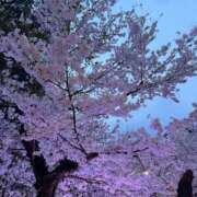 ヒメ日記 2025/04/09 20:32 投稿 葵/あおい　centu STYLISH BACH