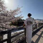 ヒメ日記 2025/04/13 21:44 投稿 葵/あおい　centu STYLISH BACH