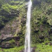 ヒメ日記 2025/07/11 12:12 投稿 葵/あおい　centu STYLISH BACH