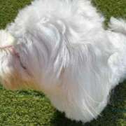 ヒメ日記 2025/08/18 19:32 投稿 葵/あおい　centu STYLISH BACH