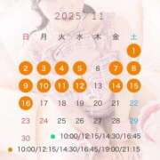 ヒメ日記 2025/10/23 08:02 投稿 葵/あおい　centu STYLISH BACH