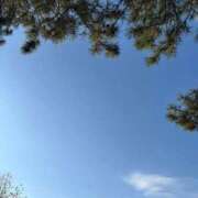 ヒメ日記 2025/12/16 14:22 投稿 葵/あおい　centu STYLISH BACH