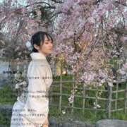 ヒメ日記 2026/02/10 11:32 投稿 葵/あおい　centu STYLISH BACH