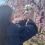 ヒメ日記 2026/03/25 23:32 投稿 葵/あおい　centu STYLISH BACH