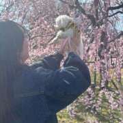 ヒメ日記 2026/04/14 07:42 投稿 葵/あおい　centu STYLISH BACH