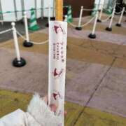 ヒメ日記 2024/12/29 08:59 投稿 あるの CECIL