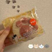 ヒメ日記 2025/02/22 16:19 投稿 あるの CECIL