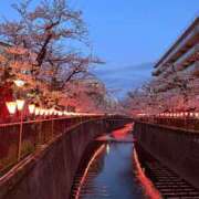 ヒメ日記 2025/04/07 17:30 投稿 あるの CECIL