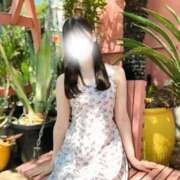 ヒメ日記 2025/04/16 13:29 投稿 あるの CECIL