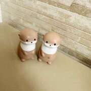 ヒメ日記 2025/06/12 08:01 投稿 あるの CECIL