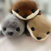 ヒメ日記 2025/06/15 21:01 投稿 あるの CECIL