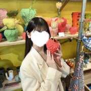 ヒメ日記 2025/08/14 07:01 投稿 あるの CECIL