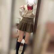 ヒメ日記 2025/11/09 07:01 投稿 あるの CECIL