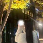 ヒメ日記 2025/11/13 12:46 投稿 あるの CECIL