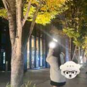 ヒメ日記 2025/11/25 16:01 投稿 あるの CECIL