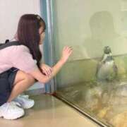 ヒメ日記 2025/10/24 20:47 投稿 なのは マリン宮殿雄琴店