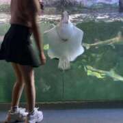 ヒメ日記 2025/11/02 10:17 投稿 なのは マリン宮殿雄琴店