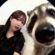 ヒメ日記 2025/11/13 07:54 投稿 なのは マリン宮殿雄琴店