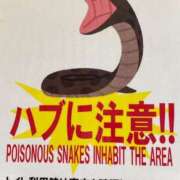 ヒメ日記 2025/01/01 00:56 投稿 吉永　かのん ソープランド蜜 人妻・美熟女専門店