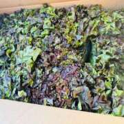 ヒメ日記 2025/01/14 17:19 投稿 吉永　かのん ソープランド蜜 人妻・美熟女専門店