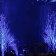 ヒメ日記 2025/02/08 22:12 投稿 吉永　かのん ソープランド蜜 人妻・美熟女専門店