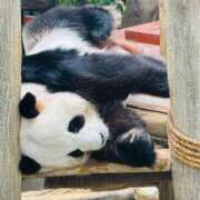 ヒメ日記 2025/03/21 21:42 投稿 吉永　かのん ソープランド蜜 人妻・美熟女専門店