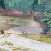 ヒメ日記 2025/03/23 12:28 投稿 吉永　かのん ソープランド蜜 人妻・美熟女専門店